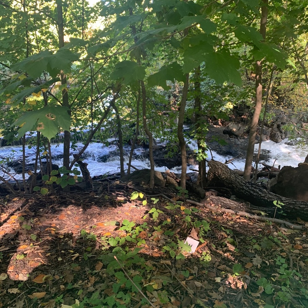 Meet your Posher, Jillian